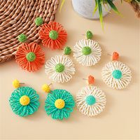 1 Pair Simple Style Classic Style Color Block Braid Straw Drop Earrings main image 1