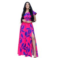 Women's Regular Dress Vacation Oblique Collar Printing Sleeveless Printing Maxi Long Dress Holiday Daily main image 4