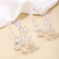 1 Pair Simple Style Classic Style Butterfly Hollow Out Alloy Earrings main image 4