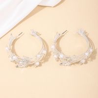 1 Pair Simple Style Classic Style Butterfly Hollow Out Alloy Earrings main image 5