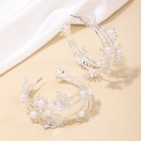1 Pair Simple Style Classic Style Butterfly Hollow Out Alloy Earrings sku image 2