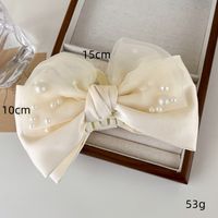 Women's Casual Elegant Bow Knot Cloth Hair Claws main image 2