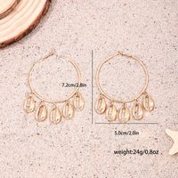 1 Pair Simple Style Classic Style Shell Alloy Earrings main image 6