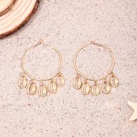 1 Pair Simple Style Classic Style Shell Alloy Earrings main image 5