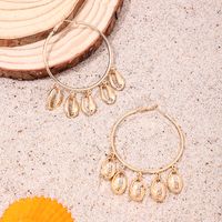 1 Pair Simple Style Classic Style Shell Alloy Earrings main image 2