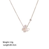 304 Stainless Steel Rose Gold Plated Elegant Sweet Plating Inlay Flower Shell Pendant Necklace main image 5