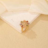 Copper K Gold Plated Elegant Cute Luxurious Plating Inlay Flower Petal Zircon Open Rings main image 3