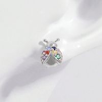 1 Pair Elegant Simple Style Butterfly Plating Inlay Sterling Silver Zircon White Gold Plated Ear Studs main image 4