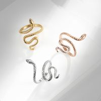 IG Style Simple Style Snake 304 Stainless Steel 18K Gold Plated Open Rings In Bulk main image 1