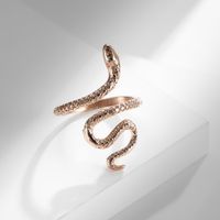 IG-Stil Einfacher Stil Schlange Edelstahl 304 18 Karat Vergoldet Offener Ring In Masse sku image 7