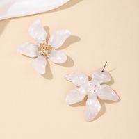 1 Paire Style Simple Style Classique Fleur Alliage Boucles D'Oreilles main image 5