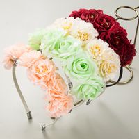 Women's Elegant Vacation Classic Style Flower Alloy Cloth Hair Band main image 1