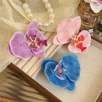 Women's IG Style Sweet Flower Alloy Cloth Hair Clip main image 4