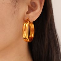 1 Pair Modern Style Simple Style Classic Style Circle Plating Titanium Steel 18K Gold Plated Hoop Earrings main image 1