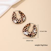 1 Pair Simple Style Classic Style Leopard Alloy Earrings main image 3