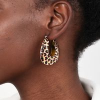 1 Pair Simple Style Classic Style Leopard Alloy Earrings main image 1