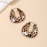 1 Pair Simple Style Classic Style Leopard Alloy Earrings main image 4