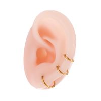 1 Piece Ear Cartilage Rings & Studs Simple Style Classic Style Semicircle Pure Titanium Ear Cartilage Rings & Studs main image 2