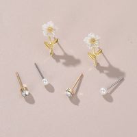 1 Set IG Style Elegant Sweet Heart Shape Flower Bow Knot Inlay Sterling Silver Artificial Pearls Zircon Ear Studs sku image 7