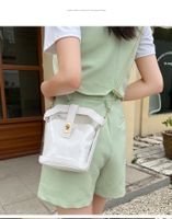 Women's Small PVC Solid Color Classic Style Lock Clasp Crossbody Bag main image 5