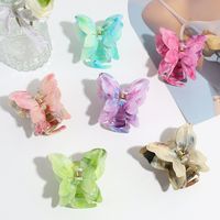 Women's Simple Style Classic Style Butterfly Plastic Resin Butterfly Hair Claws main image 1
