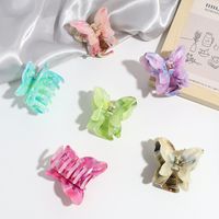 Women's Simple Style Classic Style Butterfly Plastic Resin Butterfly Hair Claws main image 5