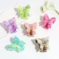 Women's Simple Style Classic Style Butterfly Plastic Resin Butterfly Hair Claws main image 3