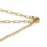 5 Pieces 304 Stainless Steel Gold Plated Solid Color Chain main image 3