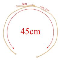 5 Pièces Acier Inoxydable 304 Plaqué Or Couleur Unie Chaîne sku image 11