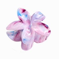 Women's Simple Style Classic Style Flower Plastic Resin Hair Claws main image 5