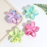 Women's Simple Style Classic Style Flower Plastic Resin Hair Claws main image 4