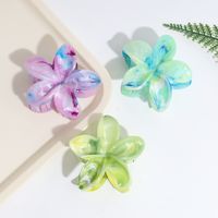 Women's Simple Style Classic Style Flower Plastic Resin Hair Claws main image 3