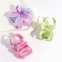 Women's Simple Style Classic Style Flower Plastic Resin Hair Claws main image 2