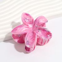 Women's Simple Style Classic Style Flower Plastic Resin Hair Claws sku image 1