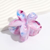 Women's Simple Style Classic Style Flower Plastic Resin Hair Claws sku image 2