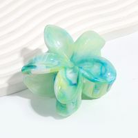 Women's Simple Style Classic Style Flower Plastic Resin Hair Claws sku image 4