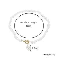 Wholesale Jewelry Casual Bohemian Simple Style Geometric Plastic Natural Stone Gravel Toggle Beaded Pendant Necklace main image 6