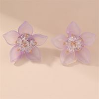 1 Pair Fairy Style Modern Style Sweet Flower Plastic Ear Studs sku image 4