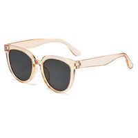 Streetwear Solid Color Pc Oval Frame Full Frame Women's Sunglasses sku image 5