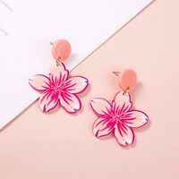 2 Pieces Cute Sweet Animal Flower Painted Arylic Drop Earrings main image 9