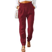 Women's Daily Classic Style Solid Color Full Length Pleated Casual Pants Straight Pants main image 4