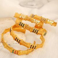 Plastic Beads Titanium Steel 18K Gold Plated Vintage Style Simple Style Plating Inlay Bamboo Rhinestones Bangle main image 1