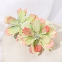 Women's IG Style Vacation Tropical Flower Alloy Cloth Hair Clip main image 8