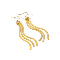 1 Pair IG Style Simple Style Tassel 201 Stainless Steel 18K Gold Plated Drop Earrings main image 9