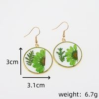 1 Pair Casual Pastoral Simple Style Color Block Alloy Dried Flower Drop Earrings main image 2