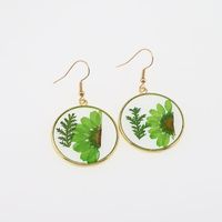 1 Pair Casual Pastoral Simple Style Color Block Alloy Dried Flower Drop Earrings main image 1