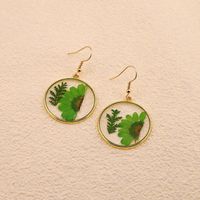 1 Pair Casual Pastoral Simple Style Color Block Alloy Dried Flower Drop Earrings main image 4