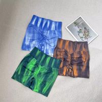 Simple Style Gradient Color Nylon Active Bottoms Skinny Pants Sweatpants main image 3