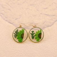 1 Pair Casual Pastoral Simple Style Color Block Alloy Dried Flower Drop Earrings main image 5
