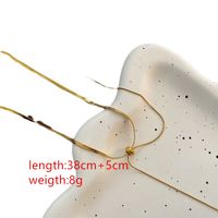 Titanium Steel Steel 18K Gold Plated Casual Simple Style Tassel Tassel Necklace main image 2